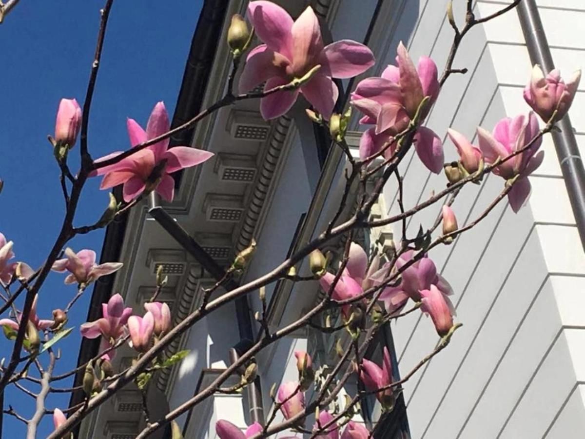 Отель Atrium Hotel Ateneu City Center Бухарест-19